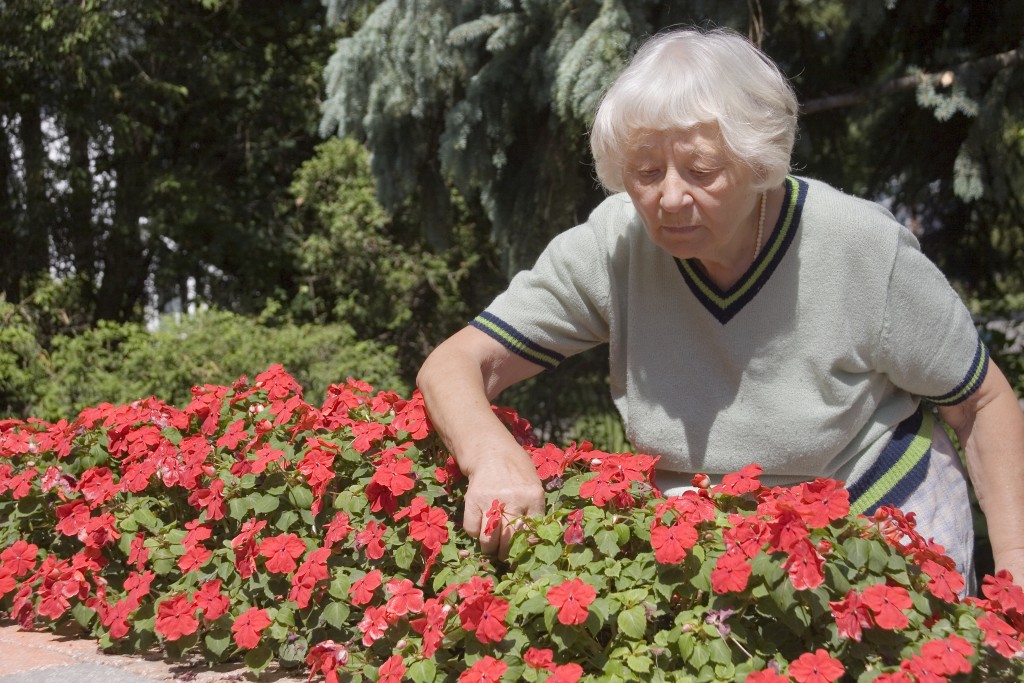 a grandma gardening