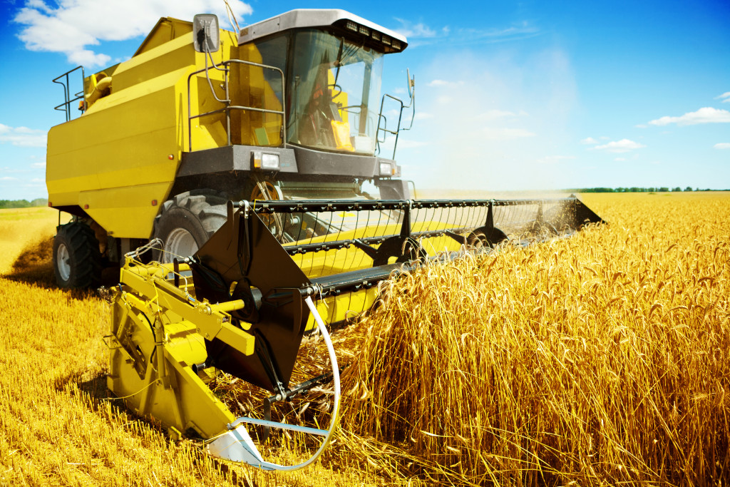 big yellow harvester working on a yellow field at daytime